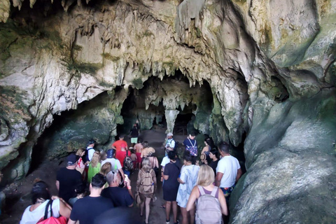 Puerto Plata: Samana, Bacardi Island, and Los Haitises Tour