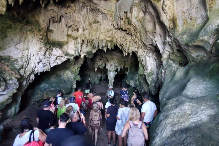 Puerto Plata: Samana, Bacardi Island, and Los Haitises Tour