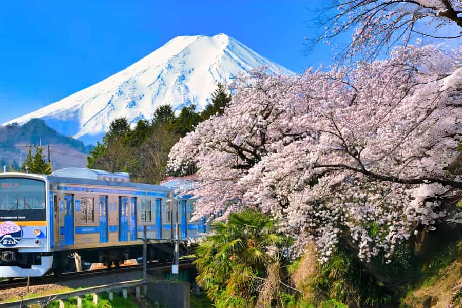 Tokio: Fuji, Kawaguchi-See, Panoramafahrt & Fujikyu-Zug. Foto: GetYourGuide