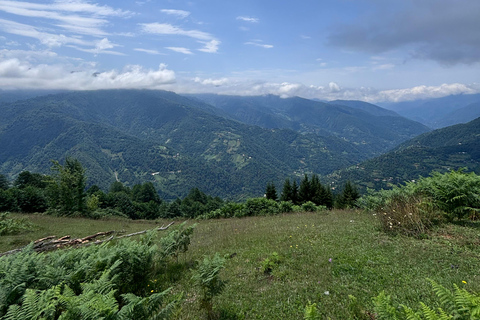 Dagvullende tours in de bergen vanuit Batumi