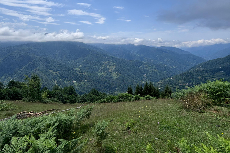 Ganztagestouren in den Bergen von Batumi aus