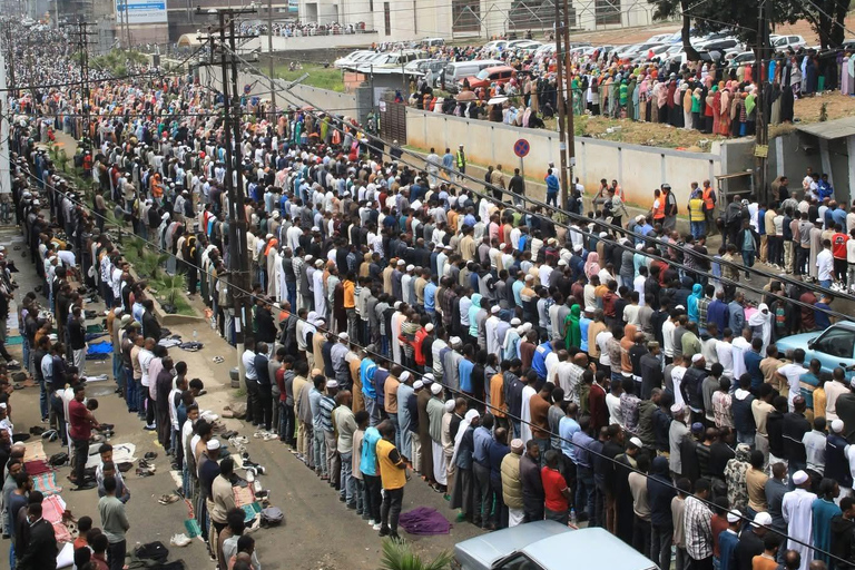 Addis Ababa: 6-Day Bale Mountains Trekking Tour