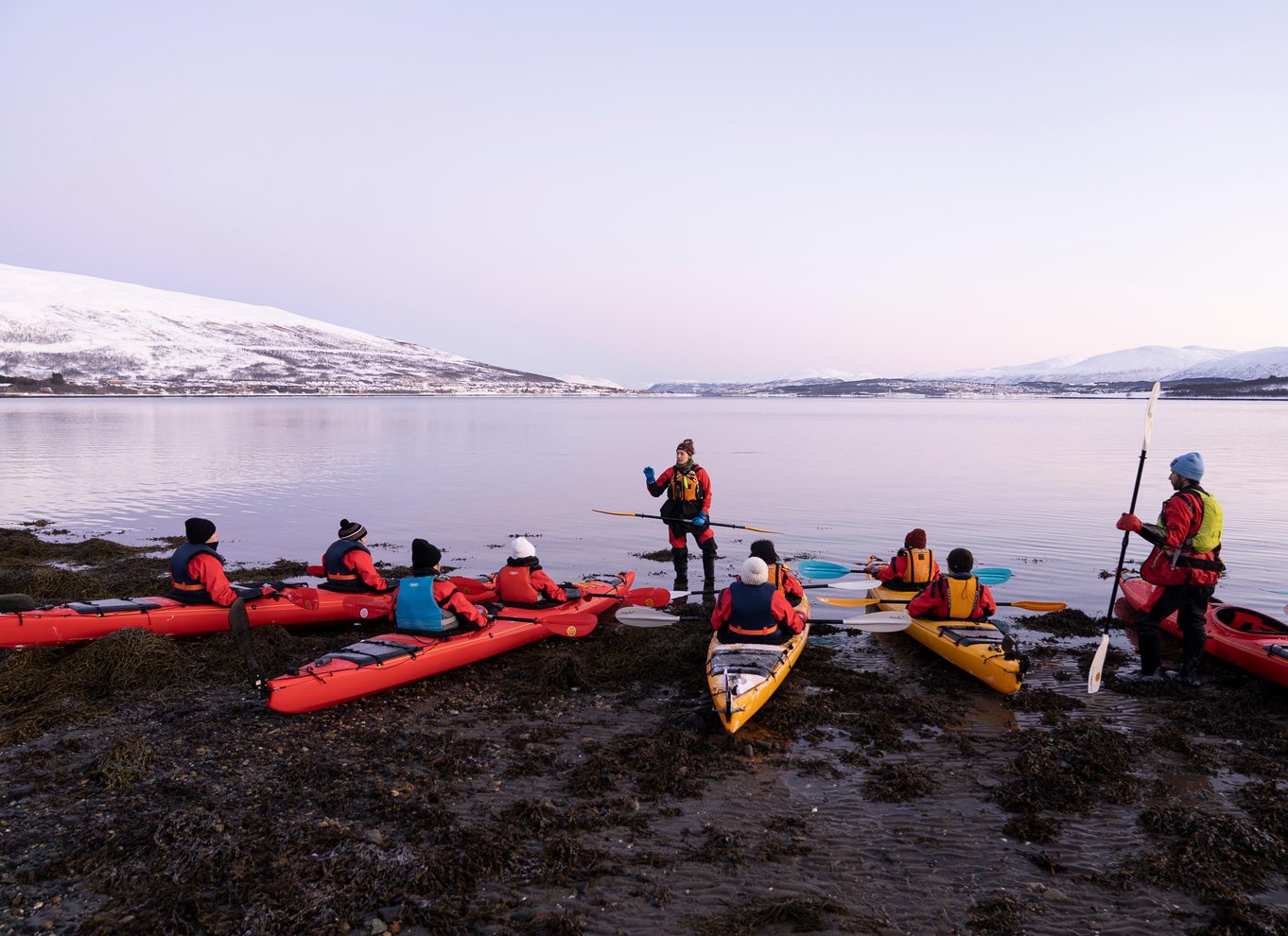 Tromsø: Vinterkajaktur med dyrelivsobservationer