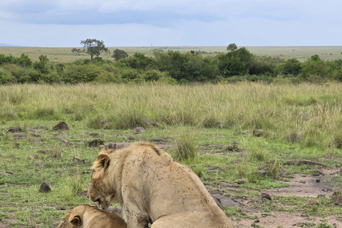 7 Days Best of Uganda Wildlife & Gorilla Encounter
