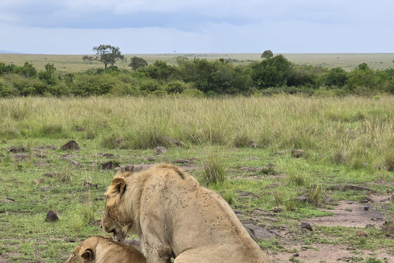 7 Days Best of Uganda Wildlife & Gorilla Encounter