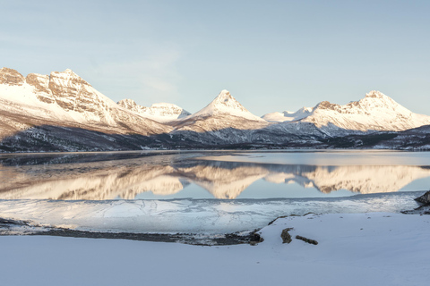 Verken de Noorse Fjorden en de wilde dieren vanuit Abisko.