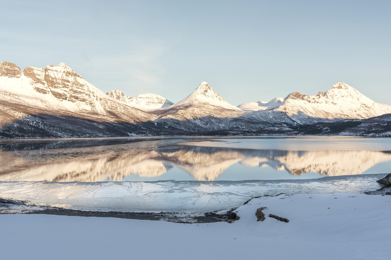 Explora os fiordes noruegueses e a vida selvagem a partir de Abisko.