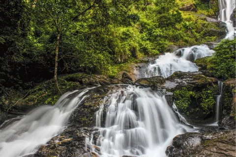 Touristic Highlights of Coorg (Guided Full Day Tour by car)