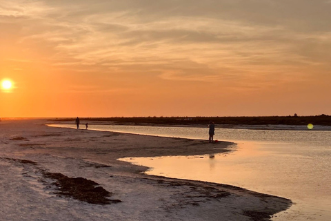Tarpon Springs: Evening Dolphin Cruise Tarpon Springs: Sunset Dolphin Cruise with Refreshments