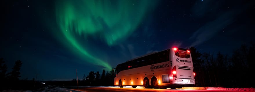 Kiruna: tour dell'aurora boreale con foto digitali professionali