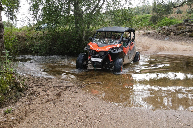 Ta en rundtur med buggyTomar Buggy-tur