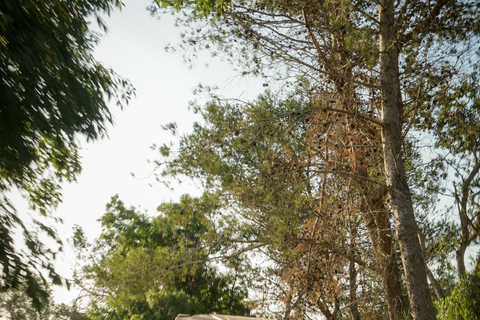 Buggy-avontuur in Lissabon: verborgen paden, kliffen en kustlijn