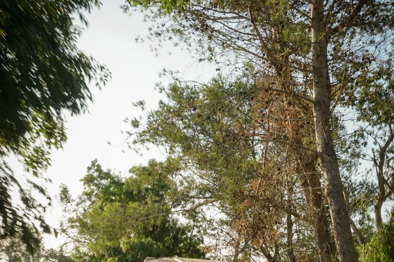 Buggy-avontuur in Lissabon: verborgen paden, kliffen en kustlijn