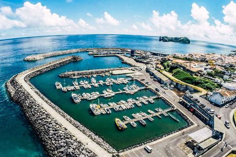 Azores: avistamiento de ballenas y tour en barco al islote