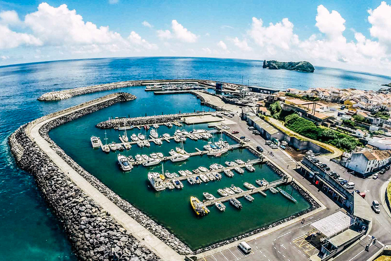 Açores: Observação de Baleias e Passeio de Barco às IlhotasPonto de encontro na Marina