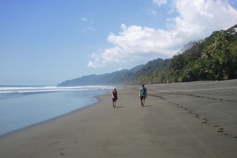 All in One: From Sirena to La Leona Corcovado Full Day Tour