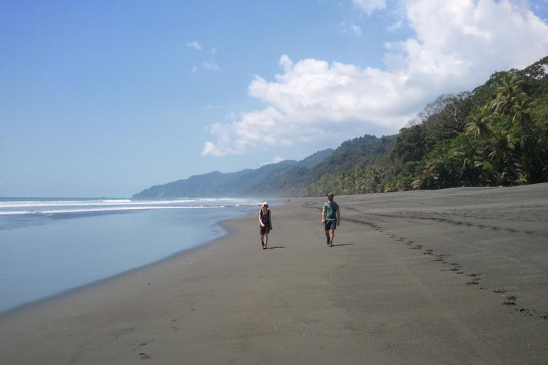 All in One: From Sirena to La Leona Corcovado Full Day Tour