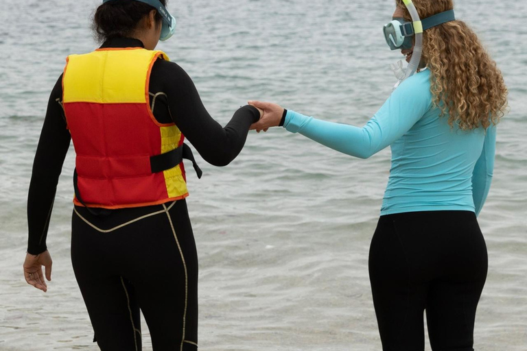 Manly Beach Guided Snorkeling Tours Open Group Tour