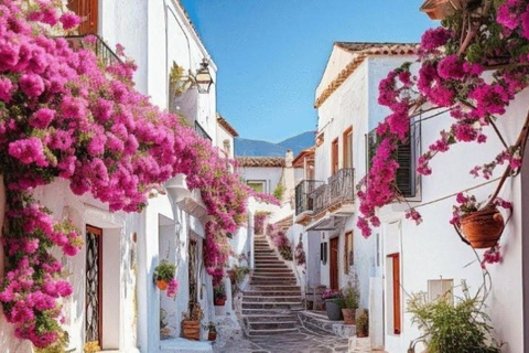 Puglia: Locorotondo, Cisternino, and Ostuni Private Tour Authentic Routes with Castellana Grotte Pick-Up