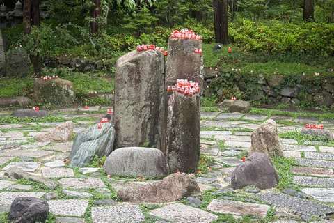 Osaka: Private Full-Day Tour with English-Speaking Driver