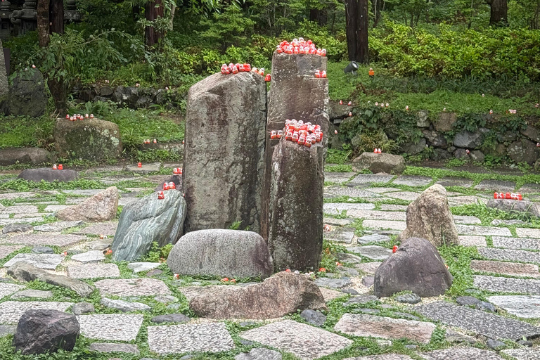 Osaka: Private Full-Day Tour with English-Speaking Driver