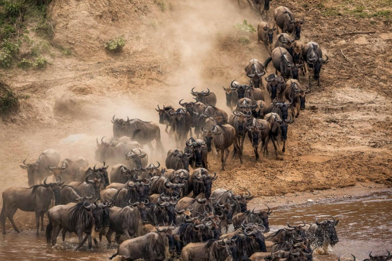 7-Day Great Migration Safari with Meilleur Tours