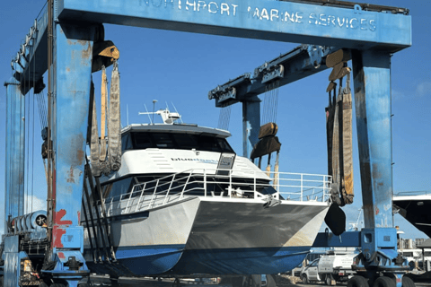 From Fremantle: Rottnest Island Snorkeling & Diving Day Trip