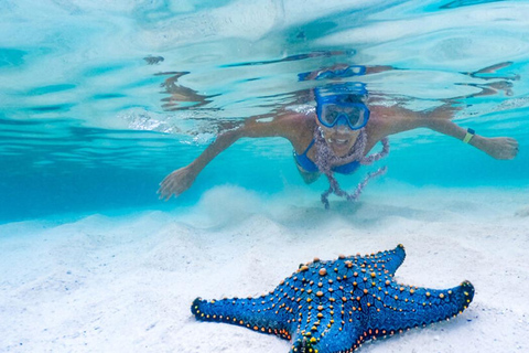 Zanzibar : visite d&#039;une jounée des dauphins de Kizimkazi et de l&#039;île de Pungume