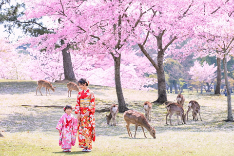 Osaka:Kyoto & Nara & Uji Tour, Todaiji, Fushimi Inari Taisha Nara & Kyoto & Uji Tour | 8:00 AM from Osaka