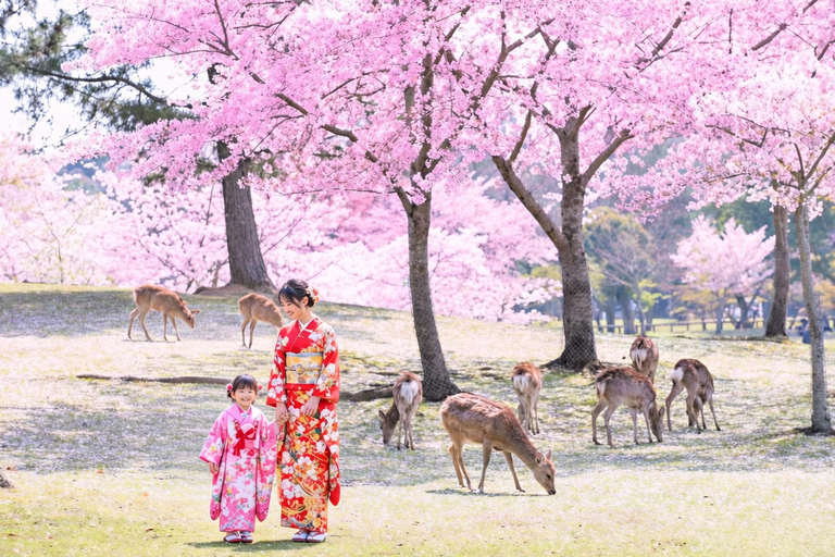 Osaka:Kyoto & Nara & Uji Tour, Todaiji, Fushimi Inari Taisha Nara & Kyoto & Uji Tour | 8:00 AM from Osaka
