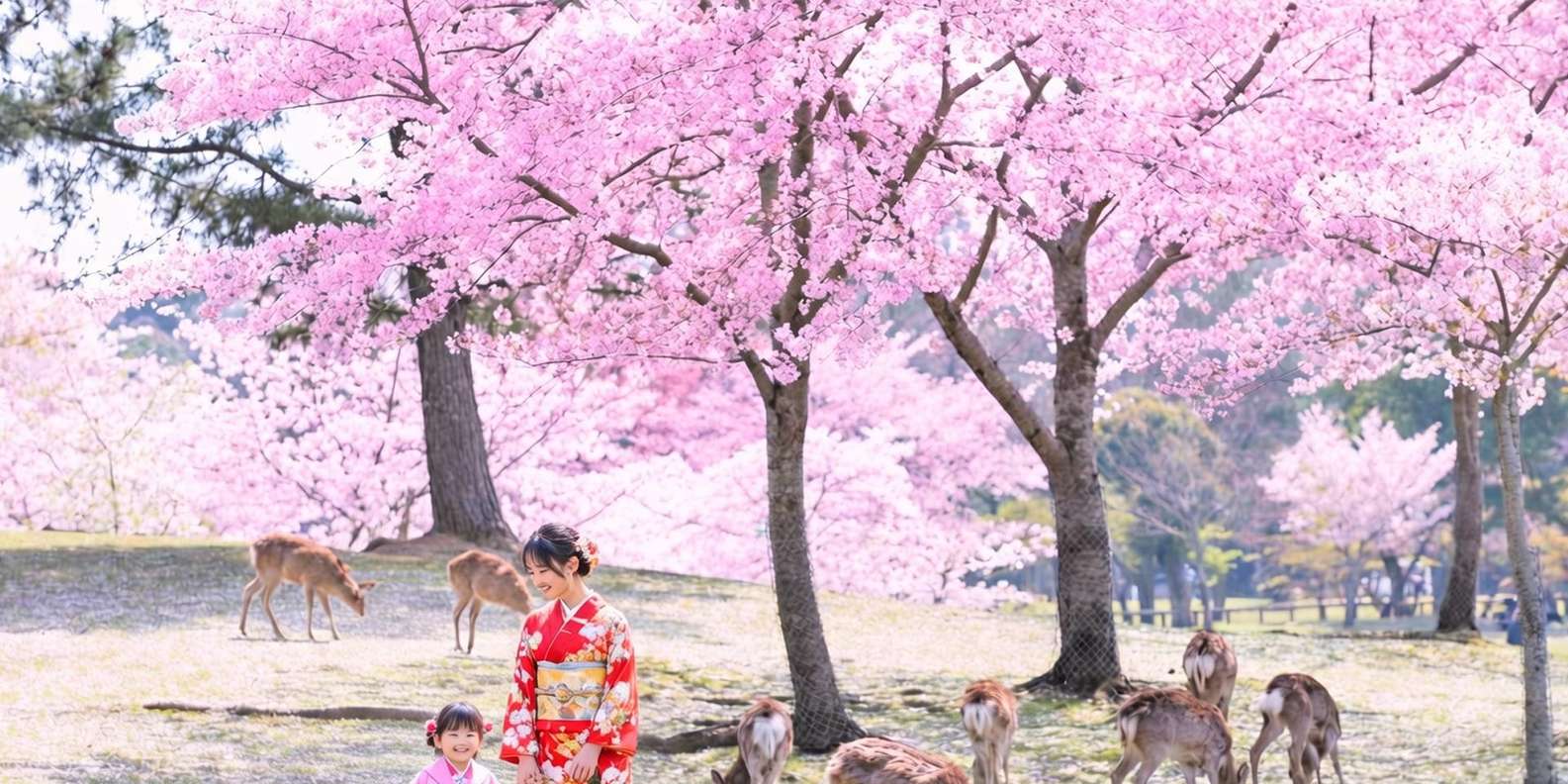 Kyoto experience — temples, geisha, bamboo grove — image 6