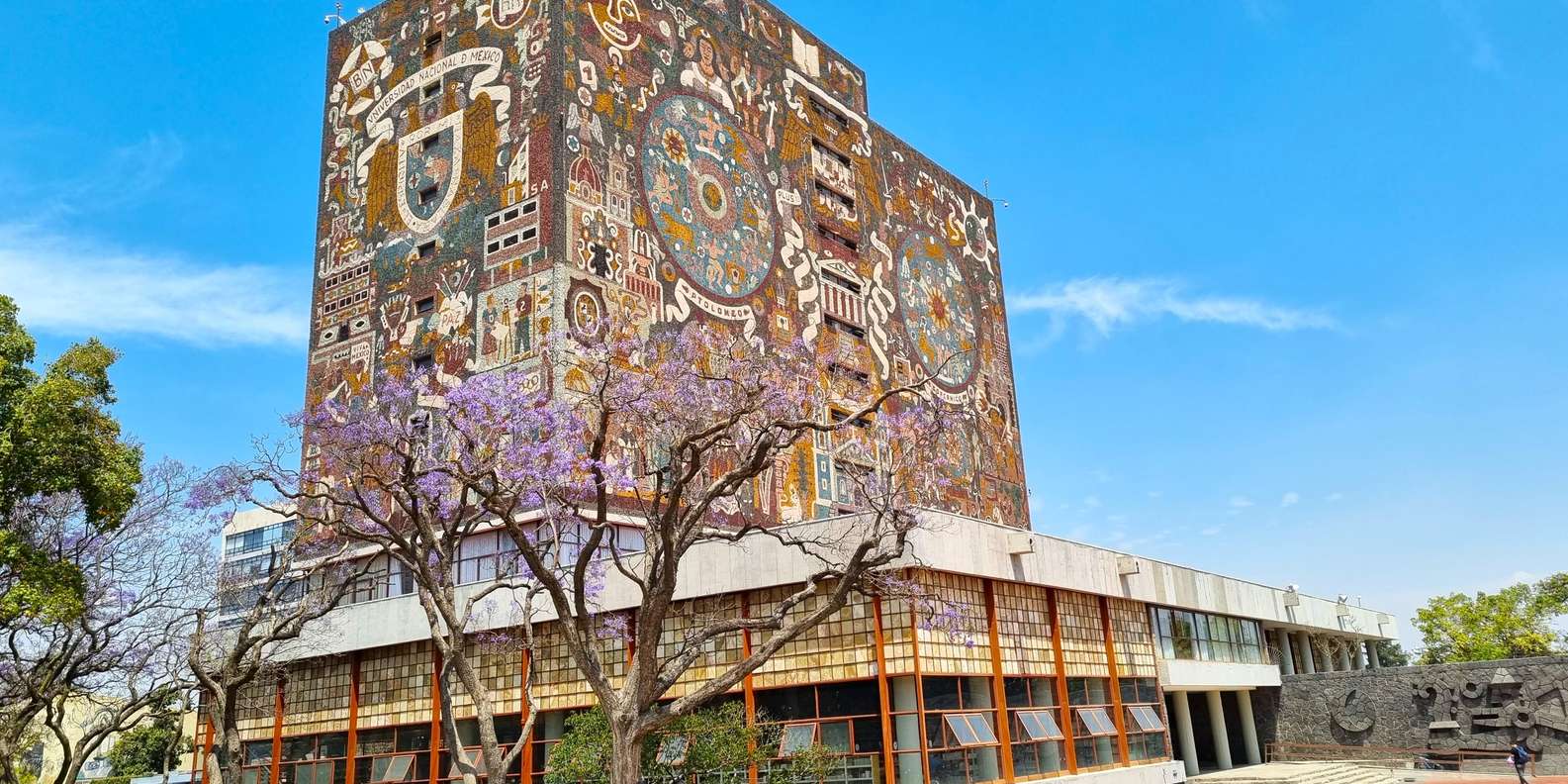 Mexico City: Xochimilco and Coyoacán Tour with Frida Kahlo Museum Option
