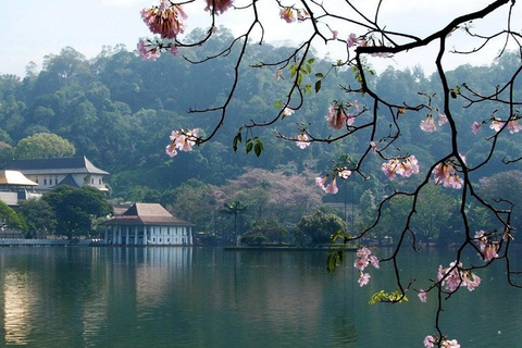 Tuk-Tuk Tales of Kandy: A Sensory City Tour with Local Guide A Sensory Kandy City Tour by Car Van with Local Guide