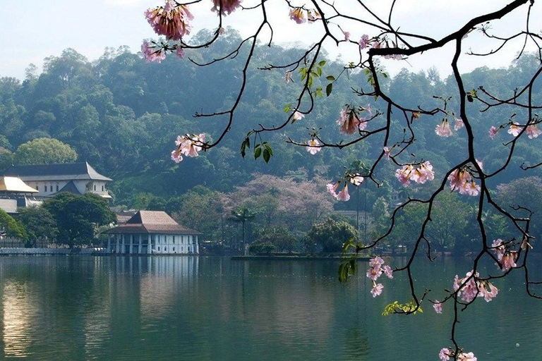 Tuk-Tuk Tales of Kandy: A Sensory City Tour with Local Guide A Sensory Kandy City Tour by Car Van with Local Guide