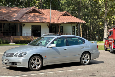 Chiang Mai:Sticky Watefall private tour with lunch