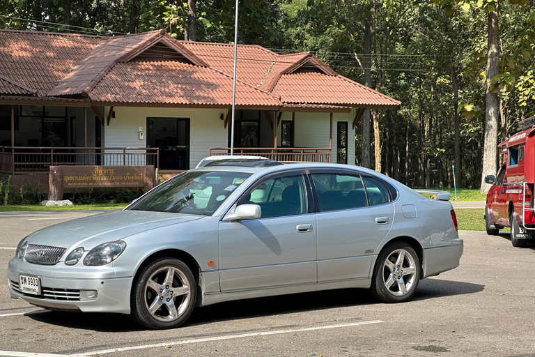 Chiang Mai:Sticky Watefall private tour with lunch