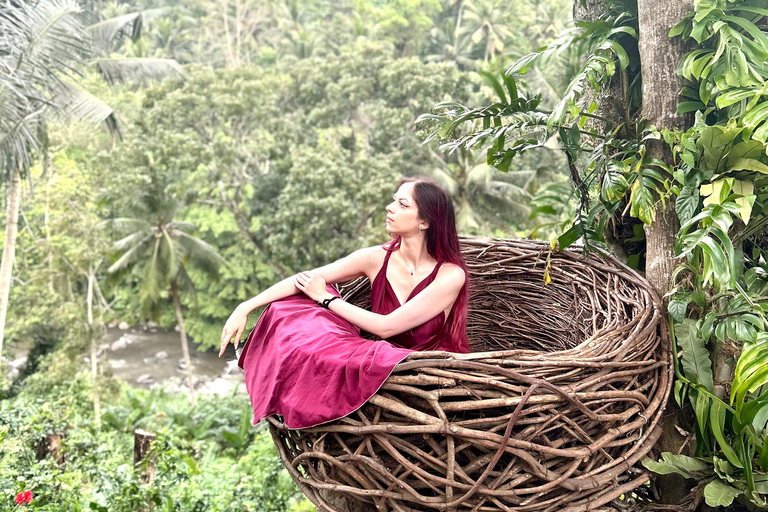 Ubud Waterfall, Temple, Rice Terrace & Art with Transfers