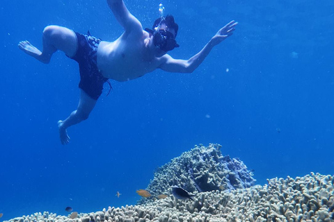 Banyuwangi: tour di snorkeling alle isole Tabuhan e MenjanganBanyuwangi: tour di snorkeling alle isole di Tabuhan e Menjangan