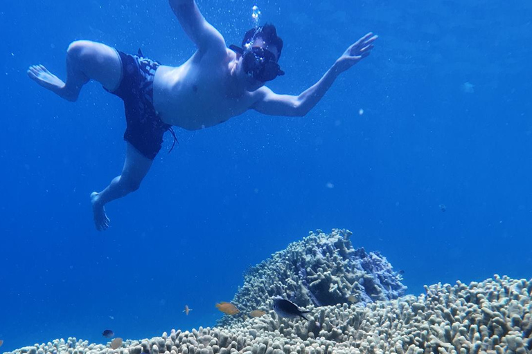 Banyuwangi: Wycieczka na wyspy Tabuhan i Menjangan z nurkowaniemBanyuwangi: wycieczka na wyspy Tabuhan i Menjangan z nurkowaniem