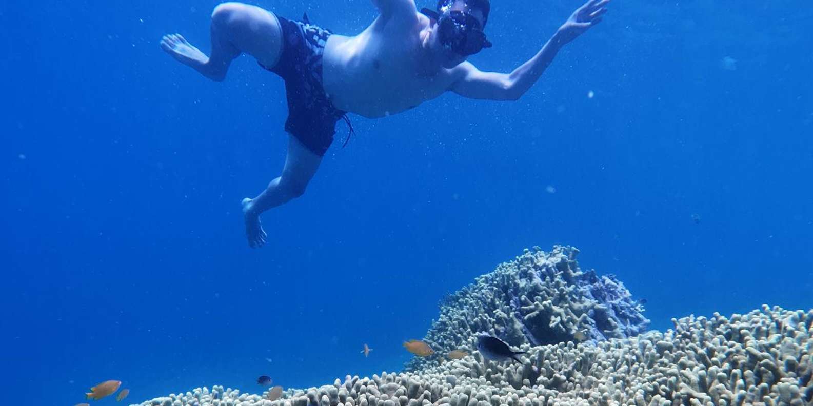 Banyuwangi: Tabuhan & Menjangan Island Snorkeling Tour