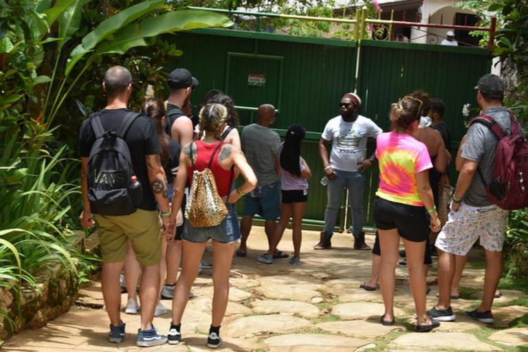 Montego Bay: Hop-On Hop-Off Bus Tour with Cruise