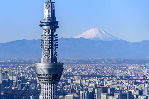 Von Tokio aus: Mt. Fuji Anpassbare Ganztagestour private Tour