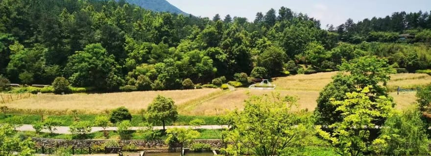 Yunnan : visite privative d'une journée dans la vallée du Phénix