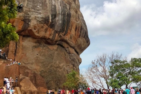 Von Bentota aus: Sigiriya Löwenfelsen & Dambulla Höhlentempel Tour