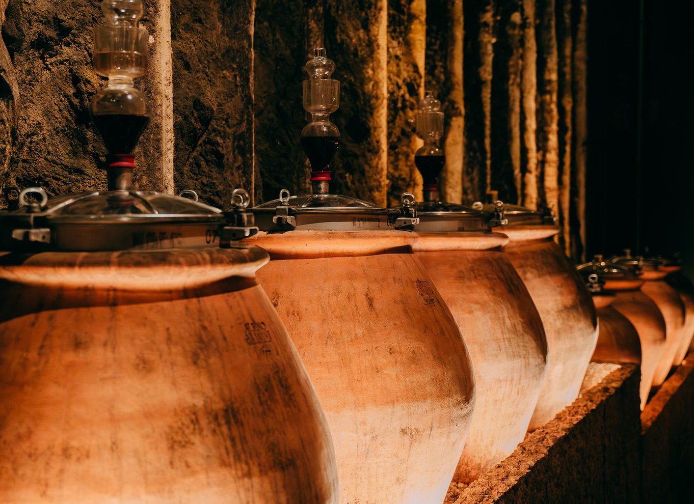 Fra Verona: Amarone-vinsmagningstur med transport