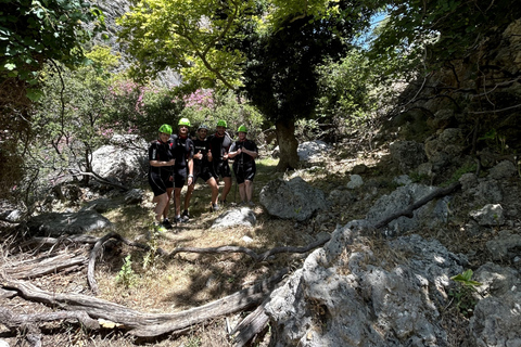 Von Rethymno aus: Fluss-Trekking in der Kourtaliotiko-SchluchtTreffpunkt