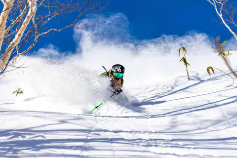 From Tokyo: Naeba Ski Resort Day Trip with Lift Pass Ski or Snowboard Gear Rental Option