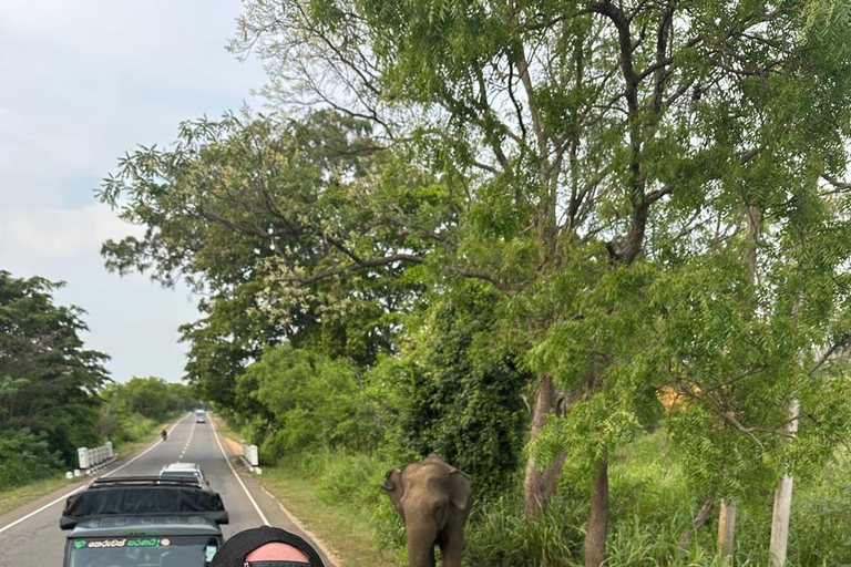 CMB/Negombo: Sigiriya, Kandy & Ella Private Tour with Driver Private Van with Driver – Up to 50 km
