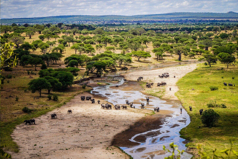 8 Days Comfort Safari+Walking Trip.