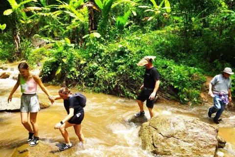 Chiang Mai: Verken bossen naar watervallen en waterraftenVolledige dag ervaring met trektochtoverdracht door Van